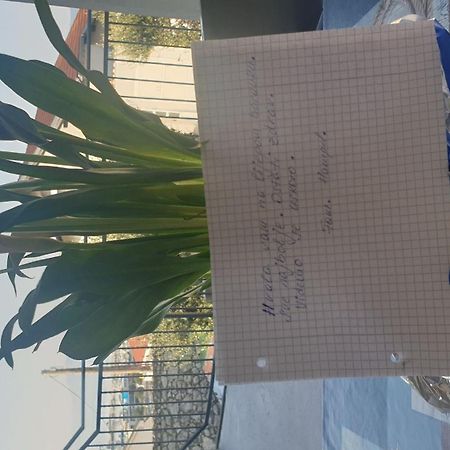 Apartment Goran Novi Vinodolski Esterno foto